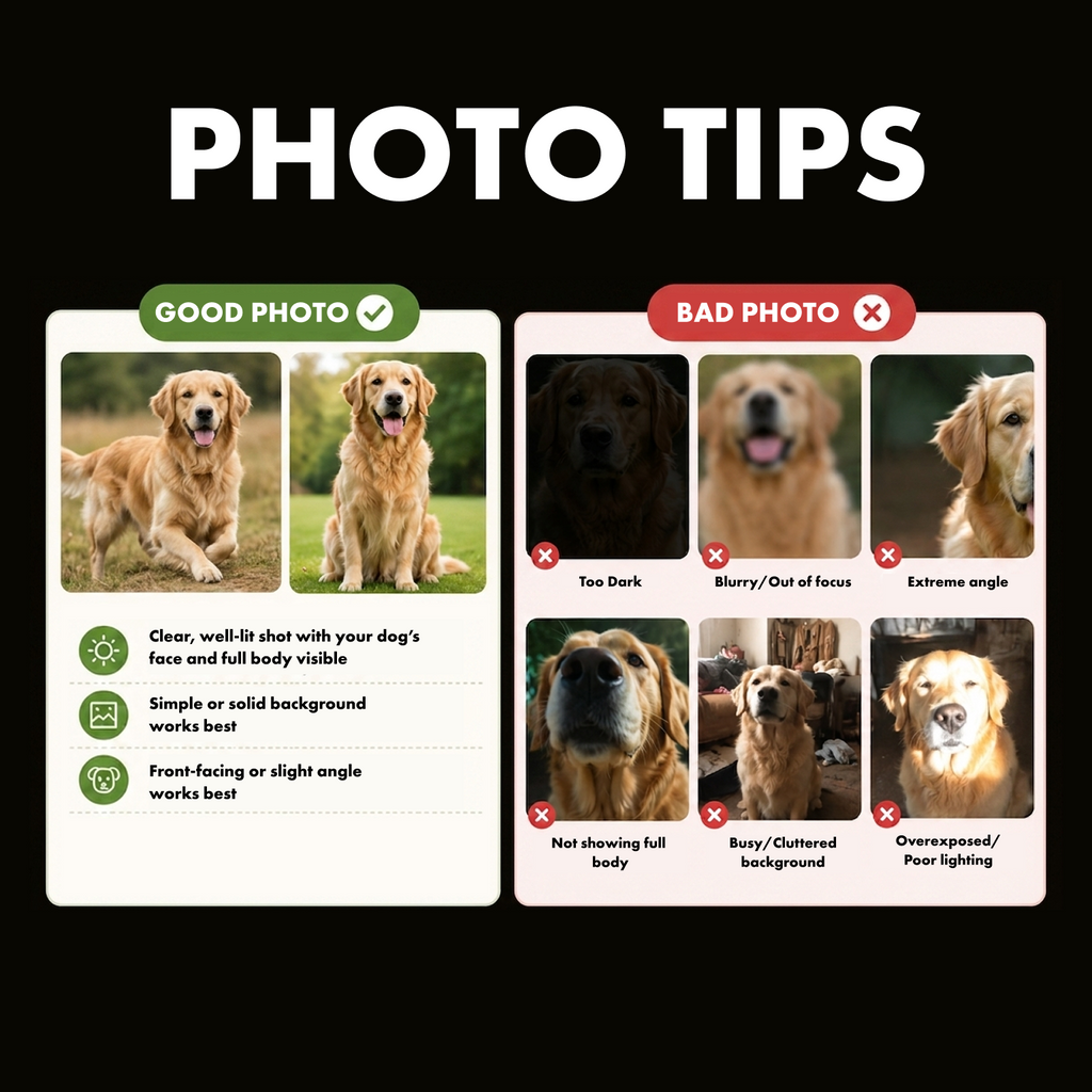 Play Pupcup VIP Pack (COMING SOON)